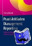 Schmidt, Thomas - Praxisleitfaden Management Reporting - Aufbau und Gestaltung als unternehmerisches Entscheidungstool