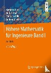 Burg, Klemens, Haf, Herbert, Wille, Friedrich, Meister, Andreas - Hohere Mathematik fur Ingenieure Band I
