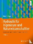 Rapp, Christoph - Hydraulik fur Ingenieure und Naturwissenschaftler