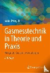 Wiegleb, Gerhard - Gasmesstechnik in Theorie und Praxis