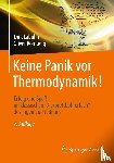Labuhn, Dirk, Romberg, Oliver - Keine Panik vor Thermodynamik!