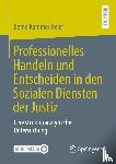 Kammermeier, Bernd - Professionelles Handeln und Entscheiden in den Sozialen Diensten der Justiz