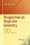 Richter-Gebert, Jurgen - Perspectives on Projective Geometry