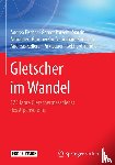 Fischer, Andrea, Patzelt, Gernot, Achrainer, Martin, Groß, Günther - Gletscher im Wandel