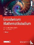 Arens, Tilo, Busam, Rolf, Hettlich, Frank, Karpfinger, Christian - Grundwissen Mathematikstudium - Analysis und Lineare Algebra mit Querverbindungen