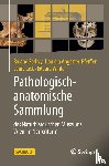 Sedivy, Roland, Angetter-Pfeiffer, Daniela, Lick, Laura, Winter, Eduard - Pathologisch-anatomische Sammlung des Naturhistorischen Museums Wien im Narrenturm