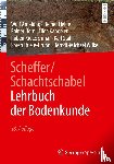 Amelung, Wulf, Fleige, Heiner, Horn, Rainer, Kandeler, Ellen - Scheffer/Schachtschabel Lehrbuch der Bodenkunde
