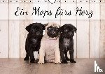 Noack, Nicole - Ein Mops fürs Herz (Wandkalender immerwährend DIN A4 quer)