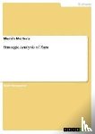 Mertens, Marvin - Strategic Analysis of Zara