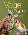 Sterry, Paul, Read, Bob - Vögel lebensgroß