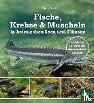 Hauer, Wolfgang - Fische, Krebse & Muscheln in heimischen Seen und Flüssen