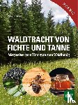 Buchner, Peter - Waldtracht von Fichte und Tanne