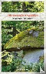 Stögmüller, Nina - Märchenhafte Kraftplätze