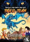 Brezina, Thomas - Tiger-Team - Das Schloss der blauen Drachen