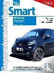 Pandikow, Christoph - Smart 453 fortwo