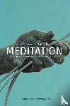 Zimmermann, Heinz, Schmidt, Robin - Meditation