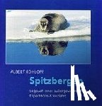 Rohloff, Albert - Spitzbergen