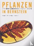 Ambertop, Gröhn, Carsten - Pflanzen in Bernstein