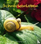Buholzer, Theres - Schneckenleben