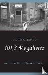  - 101,3 Megahertz