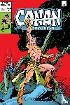 Dematteis, J. M., Kane, Gil, Jones, Bruce, Thomas, Roy - Conan der Barbar: Classic Collection