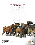Orwell, George, Odyr - Farm der Tiere