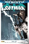 King, Tom, Janín, Mikel, Daniel, Tony S., Romita Jr., John - Batman