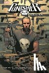 Ennis, Garth, Braithwaite, Doug, Fernandez, Leandro, LaRosa, Lewis - Punisher Collection von Garth Ennis