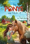 Orso, Kathrin Lena - Die Ponys von Lillasund 1. Ida und das Ponyglück