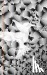 Damasio, Alain - Die Flüchtigen