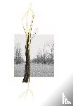  - Giuseppe Penone. Thoughts in the Roots