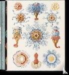 Voss, Julia, Willmann, Rainer - The Art and Science of Ernst Haeckel