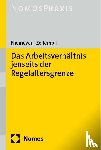 Niemeyer, Willem, Zellerhoff, Saskia Constanze - Das Arbeitsverhältnis jenseits der Regelaltersgrenze