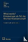  - What works? Kriminologie als Teil der Strafrechtswissenschaft