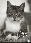  - Cats Edition Kalender 2027