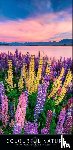 - Colourful Nature 2027