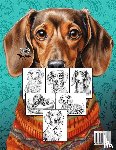 Publishing, Monsoon - Dachshund Coloring Book for Adults