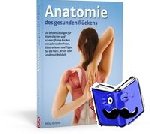 Striano, Philip - Anatomie des gesunden Rückens - Die besten Übungen für einen starken und schmerzfreien Rücken mit zahlreichen Fotos, Illustrationen und Tipps für die Hals-, Brust und Lendenwirbelsäule