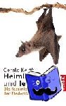 Kerth, Gerald - Heimlich, still und leise - Die faszinierende Welt der Fledertiere