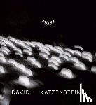 Katzenstein, David - David Katzenstein