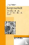 Sielert, Uwe - Praxishandbuch für die Jugendarbeit 2. Jungenarbeit