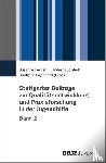 - Stuttgarter Beiträge zur Qualitätsentwicklung und Praxisforschung in der Jugendhilfe, Band 2