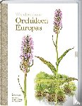Mossberg, Bo, Pedersen, Henrik - Wunderschöne Orchideen Europas