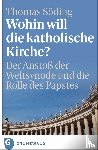 Söding, Thomas - Wohin will die katholische Kirche?