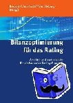  - Bilanzoptimierung für das Rating - Ansätze und Instrumente für ein besseres Rating-Ergebnis