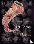Breidbach, Olaf, Eibl-Eibersfeldt, Irenaus, Hartmann, Richard - Art Forms in Nature