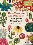Scott, Katie, Willis, Kathy - Das Museum der Pflanzen. Mein Mitmachbuch
