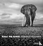 Veronesi, Federico - Walk the Earth