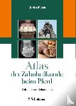 Grell, Martin, Maleh, Souel - Atlas der Zahnheilkunde beim Pferd