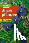 Muer, Thomas, Angerer, Oskar - Alpenpflanzen